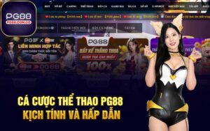 Cá cược thể thao PG88 kịch tính và hấp dẫn